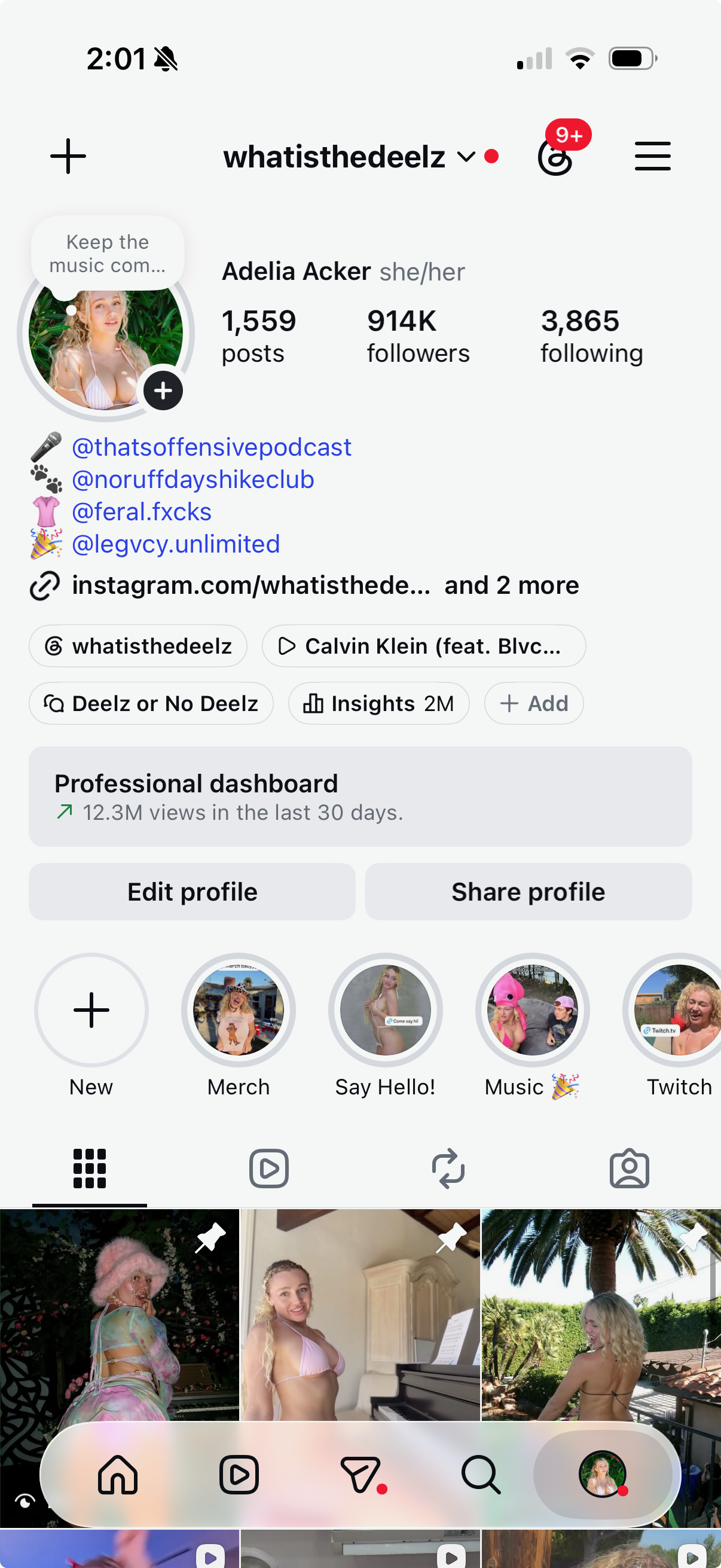 Instagram profile screenshot for whatisthedeelz
